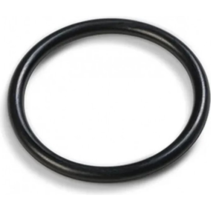 Уплотнительное кольцо INTEX 10134